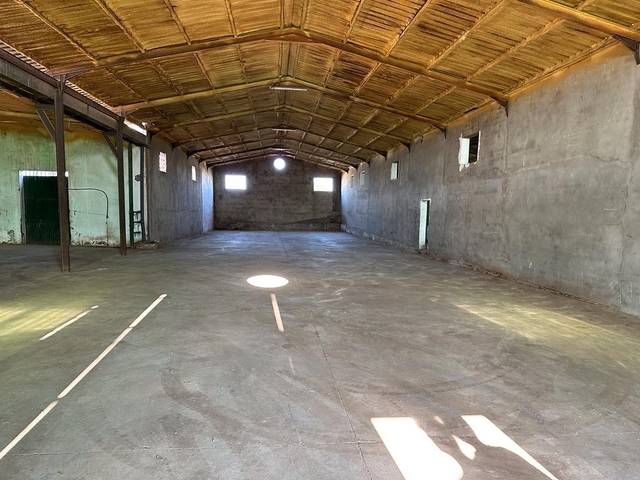 Nave industrial en Alquiler en Las Palmeras - Dehesilla