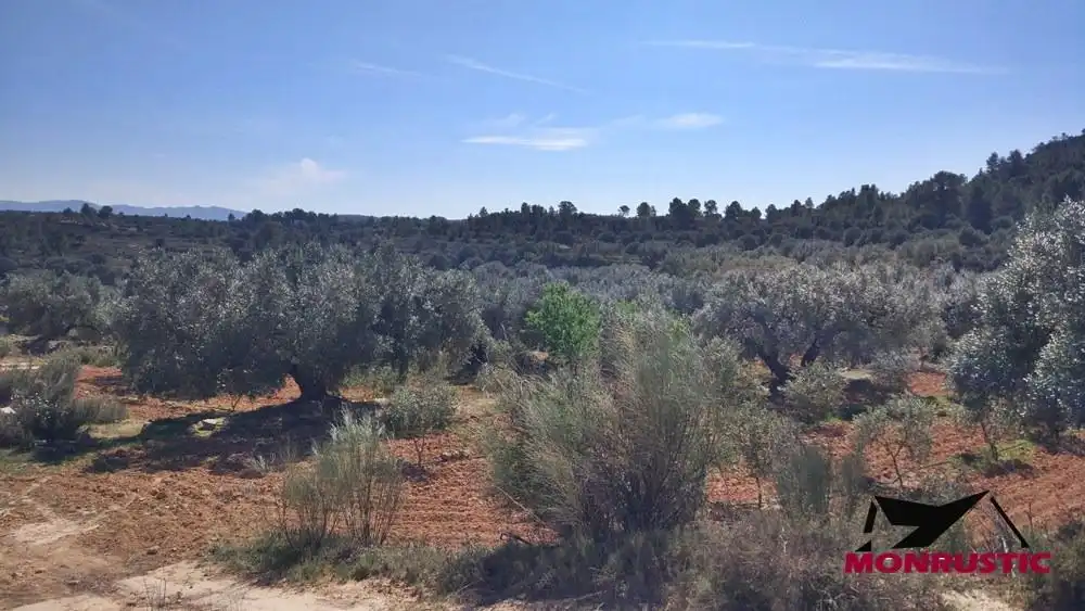 Terrain rustique à vendre à Riba-roja d'Ebre, imagen 5