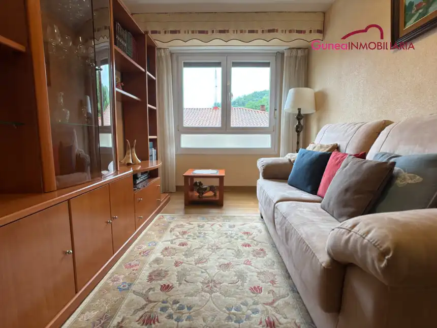 Sala de estar de Piso en venta en Hernani