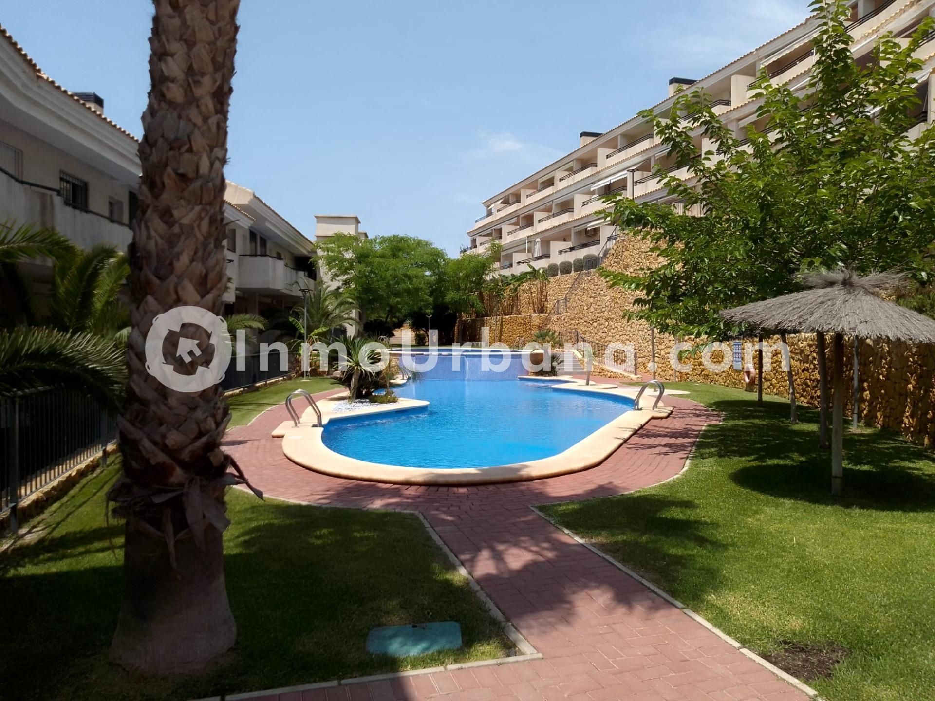 Swimming pool of Apartment to rent in Monforte del Cid  with Air Conditioner, Heating and Private garden