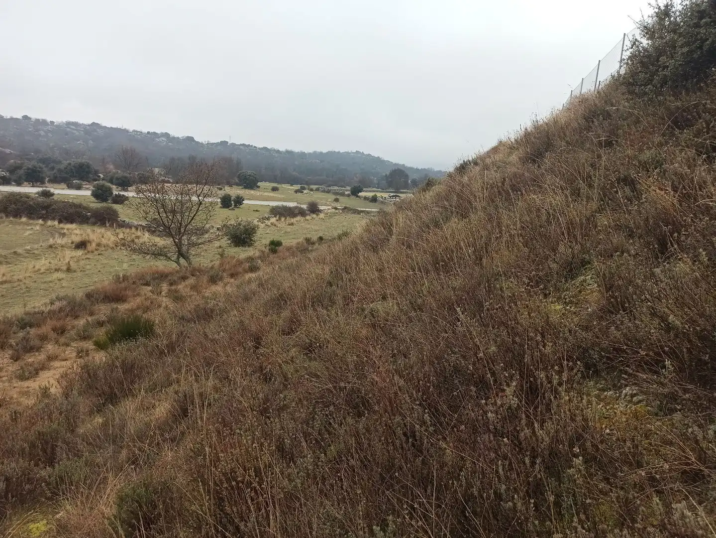 Terreno rustico in vendita a Zarzalejo, imagen 27