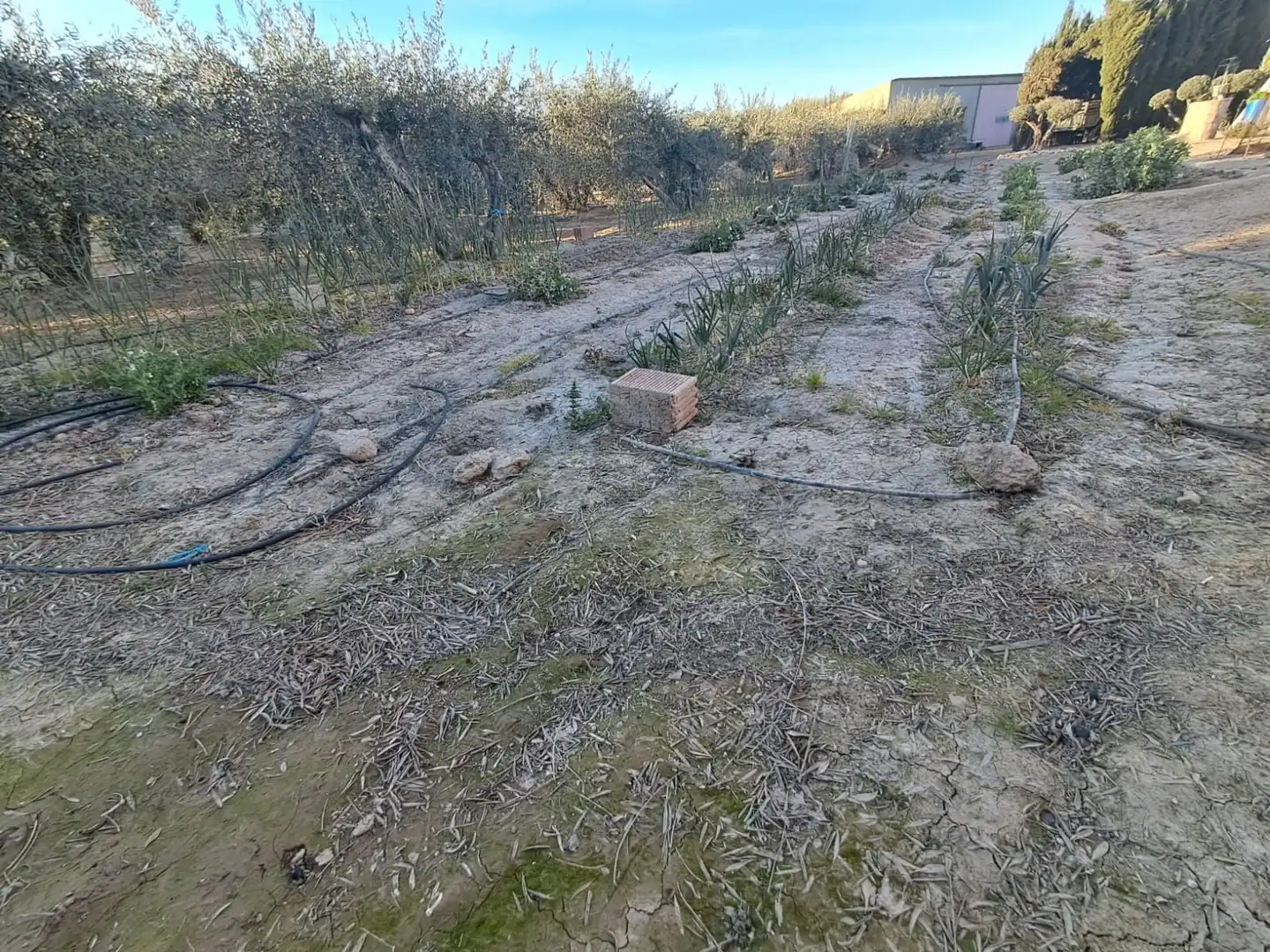 Casa en venta en Pedanías Sur, imagen 3
