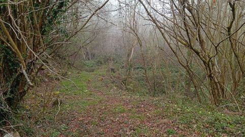 Foto 3 von Grundstücke zum Verkauf in Lugar Pontigo, 1, Belmonte de Miranda, Asturias