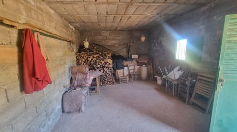 FINCA CON OLIVOS Y ALMENDROS EN ABRUCENA, immagine 4