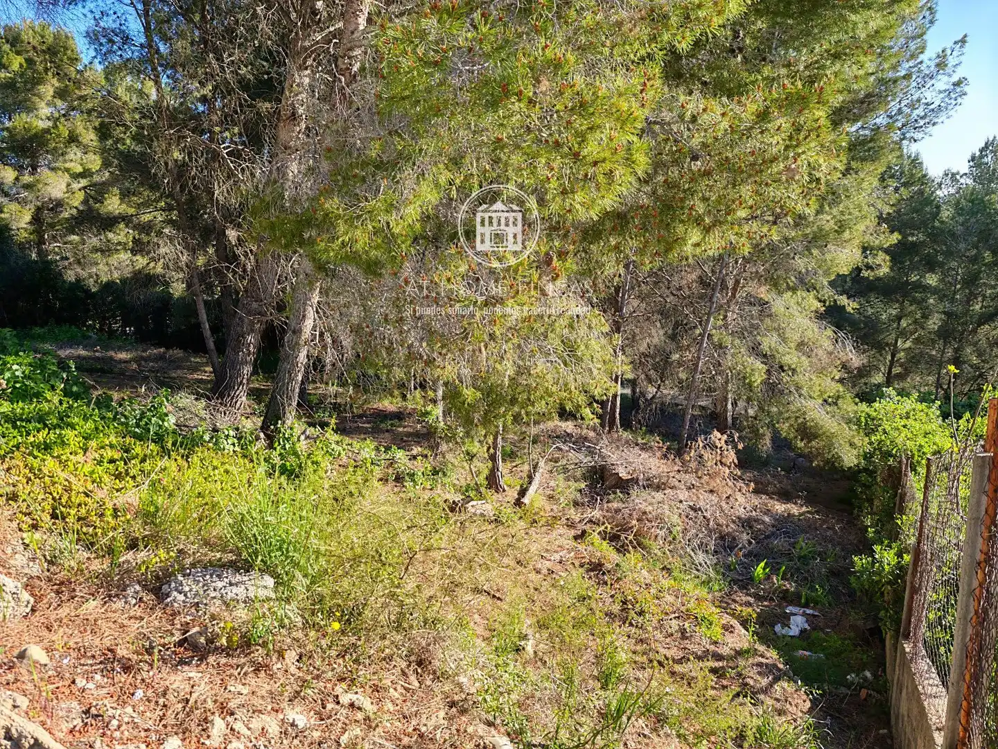 Terreny residencial en venda a Gaia-Ur Can Gordei, imagen 4