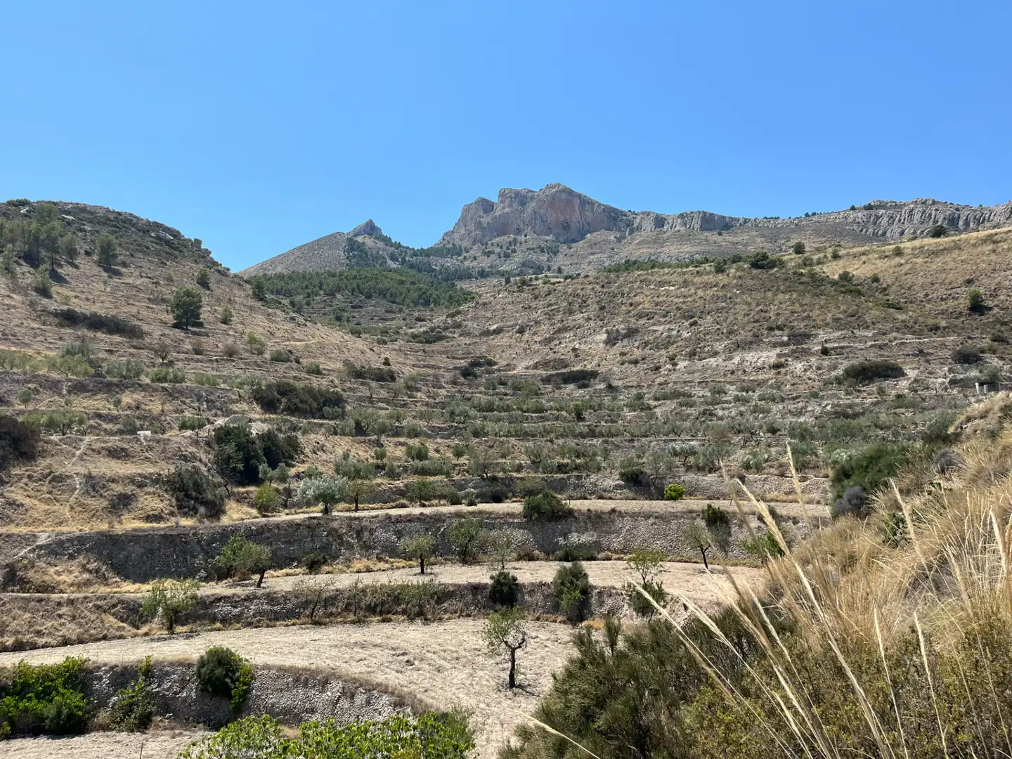 Casa o chalet en venta en Jijona / Xixona
