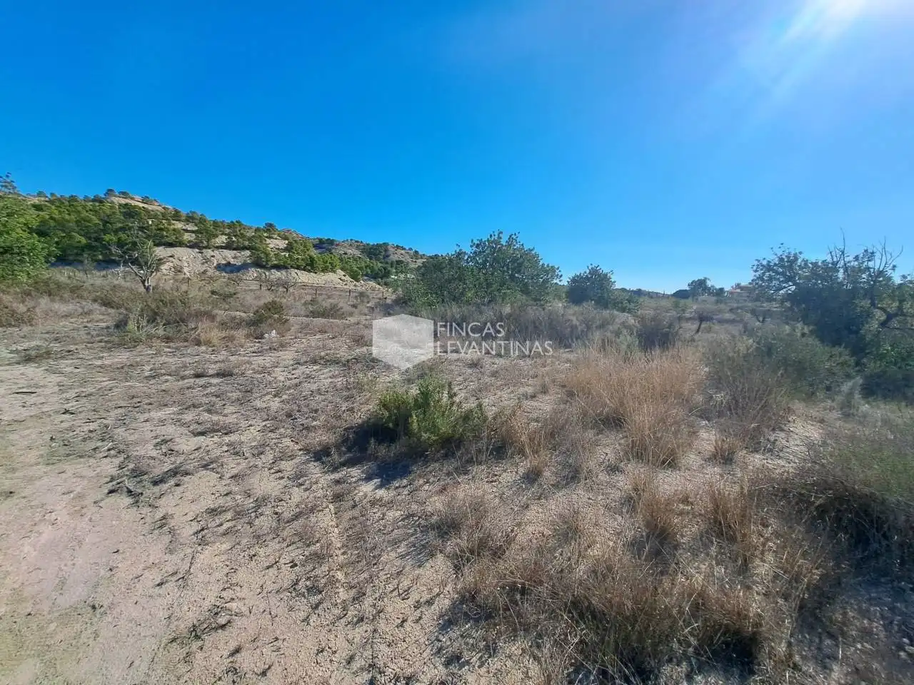 Terreny residencial en venda a Partidas de Alicante, imagen 15