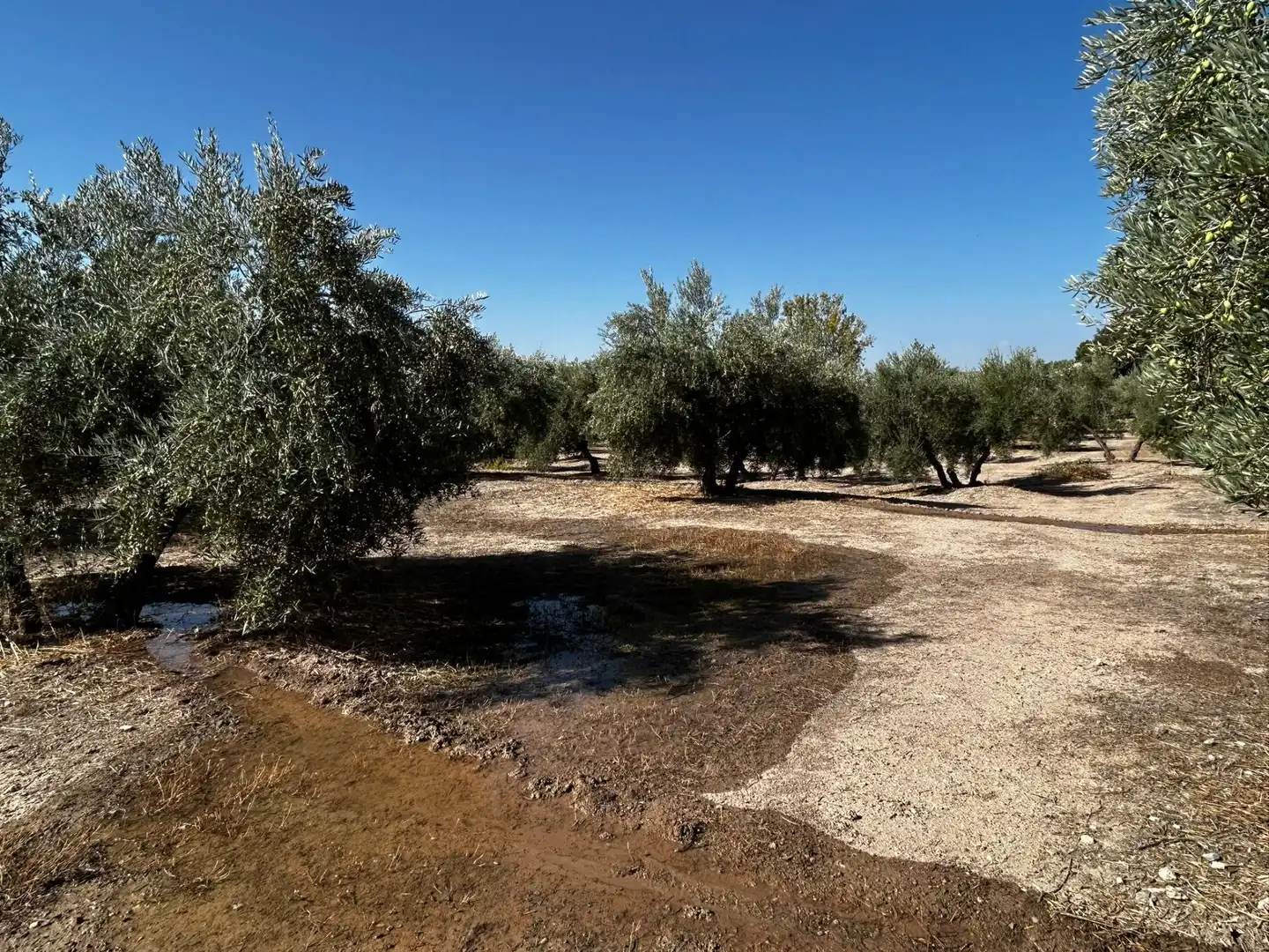 Terreni e lotti in vendita a Calicasas, imagen 17