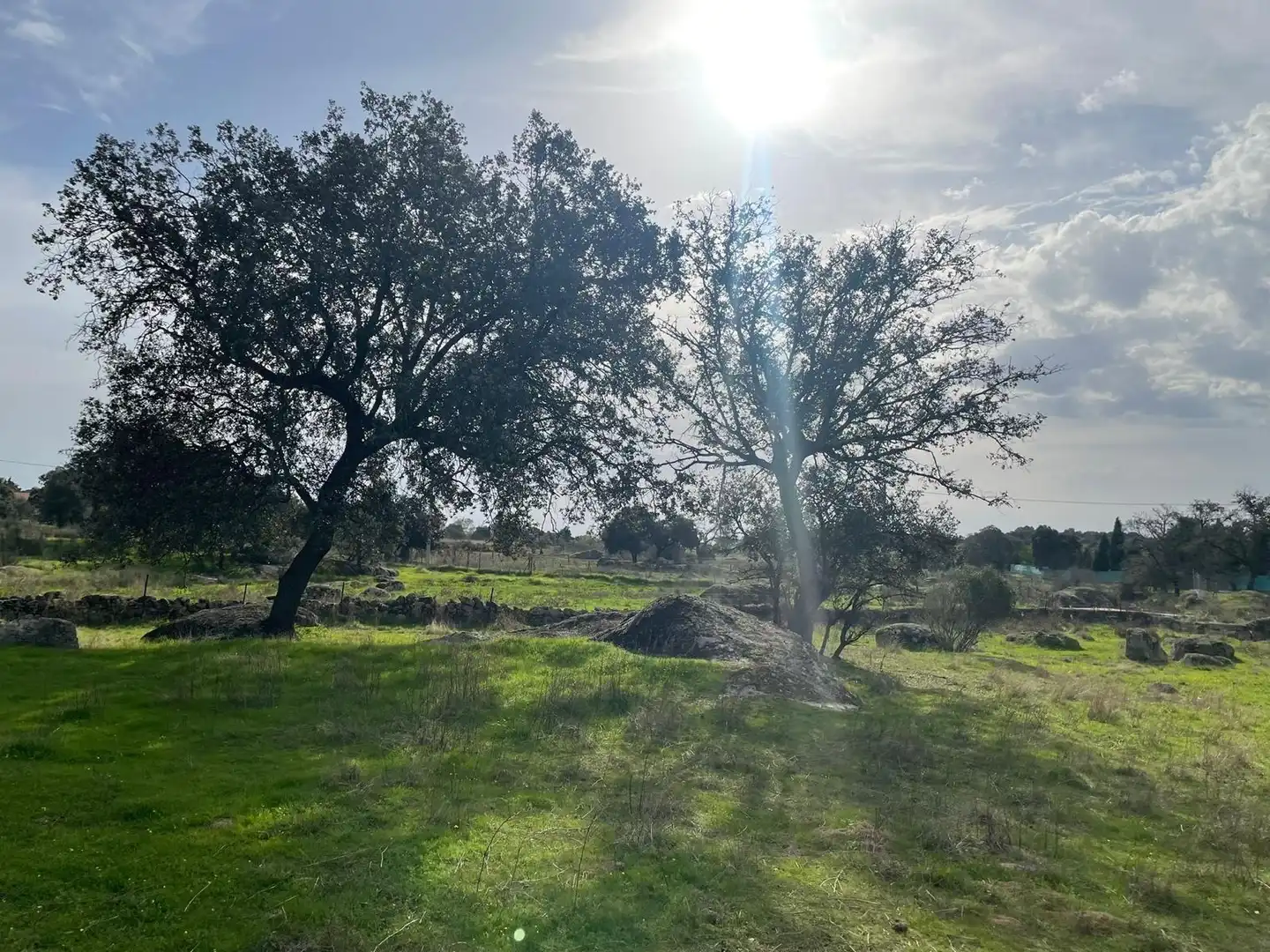 Maison à vendre à Arroyo de la Luz, imagen 25