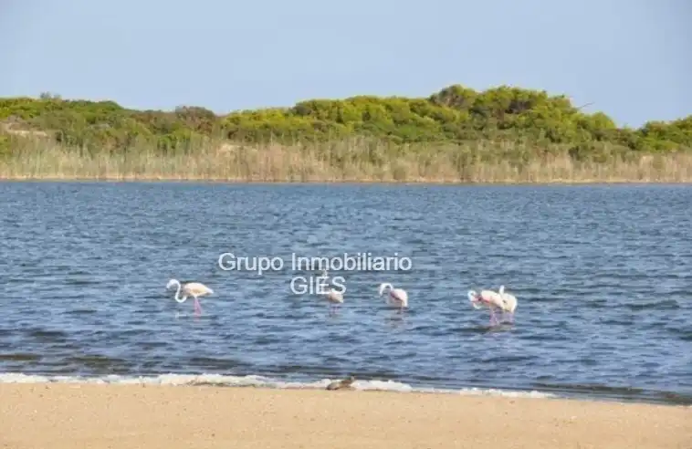 Apartamento en venta en Valencia con Aire acondicionado, Calefacción y Horno