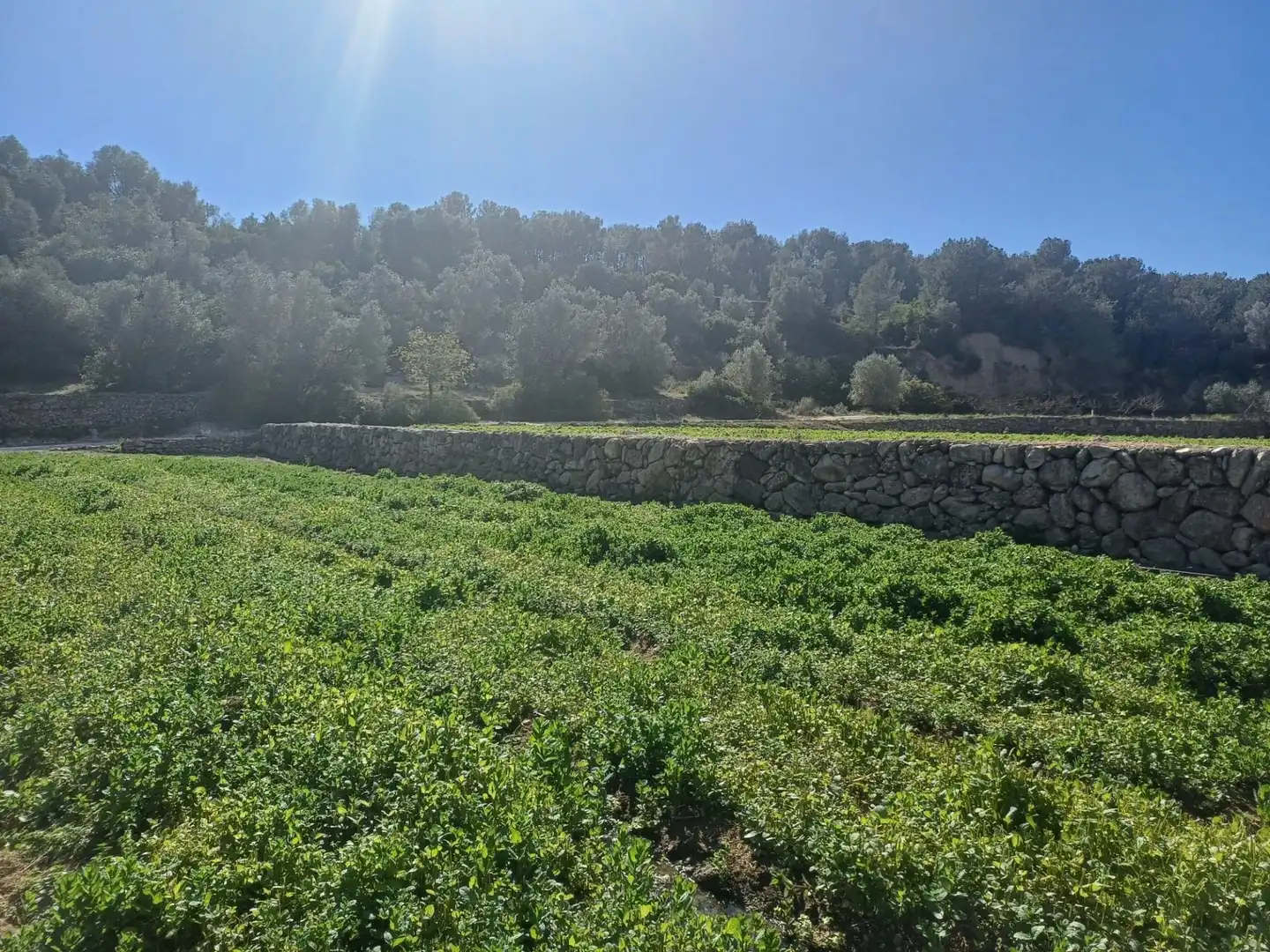 Terreno en venta en Tortosa