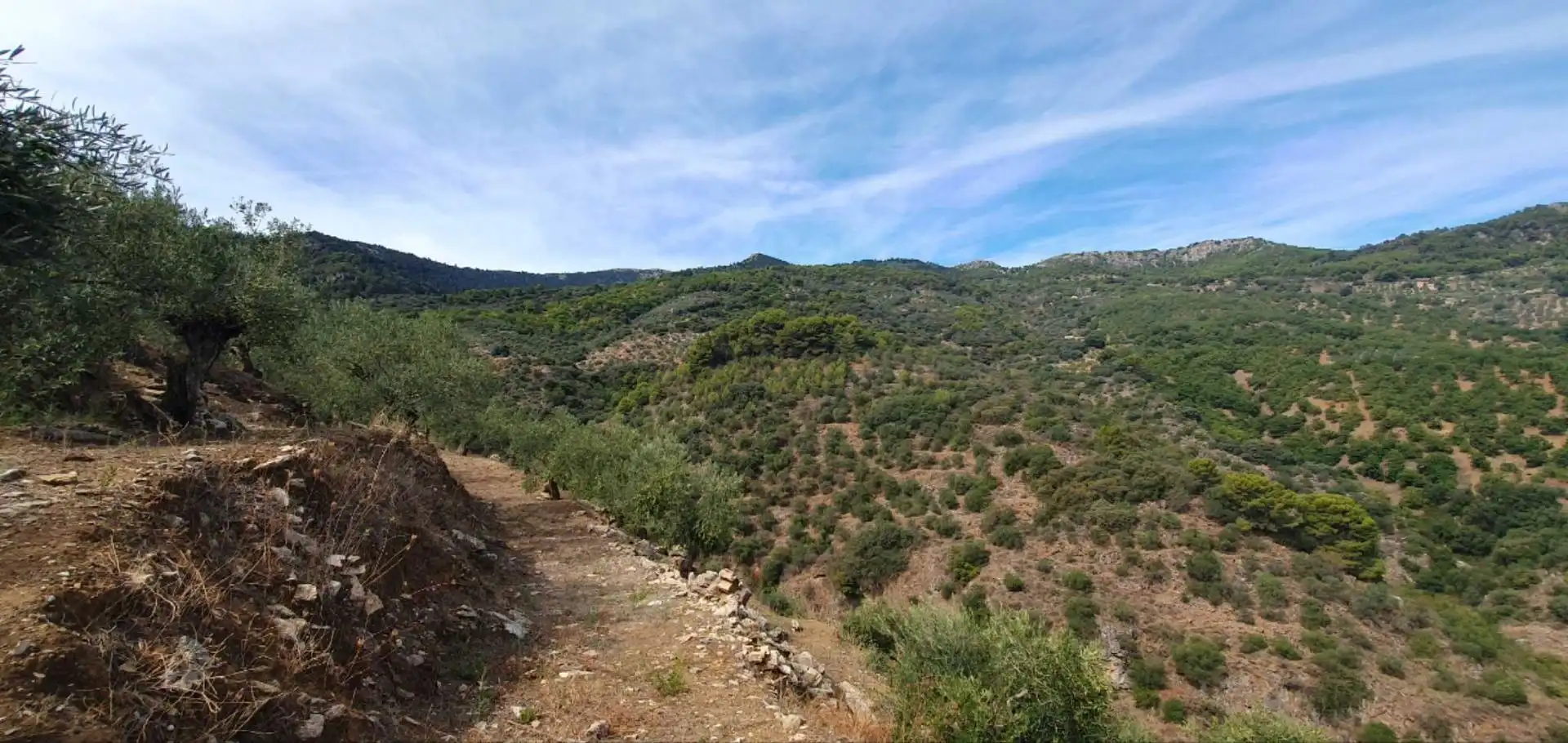 Terreni e lotti in vendita a Yunquera, imagen 7
