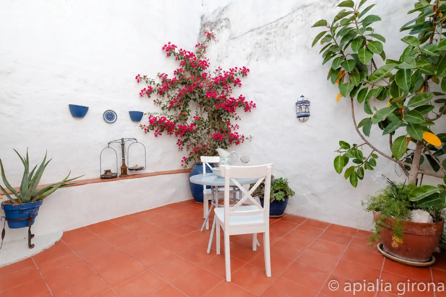 House for sale in Oliva pueblo