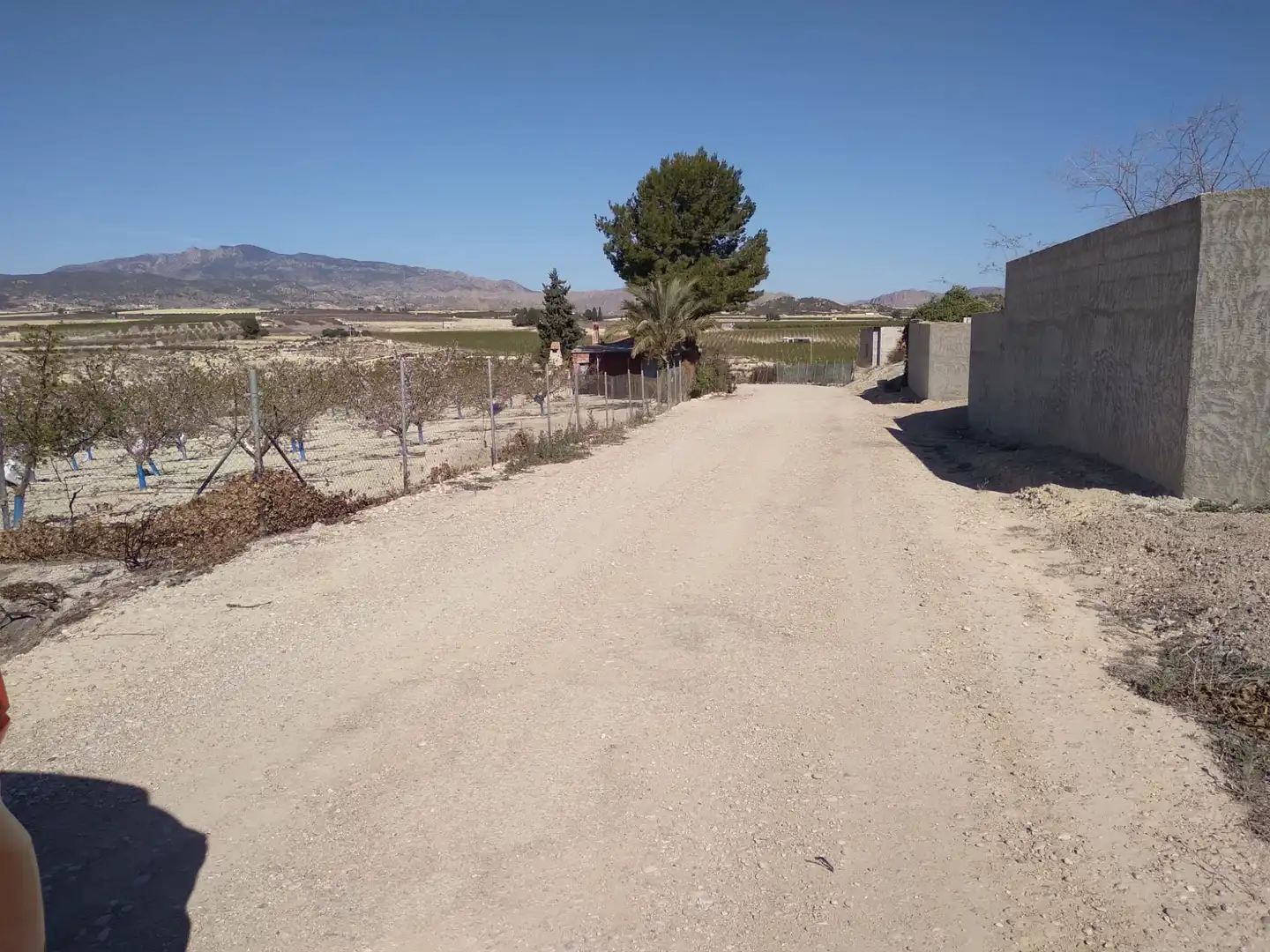 Terreni e lotti in vendita a Campos del Río, imagen 16