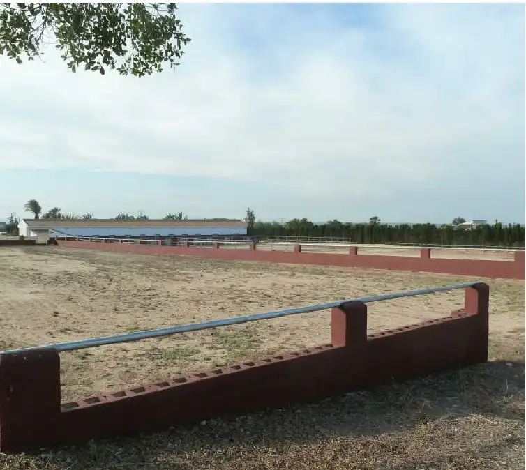 Maison rustique à vendre à San Miguel de Salinas, imagen 2