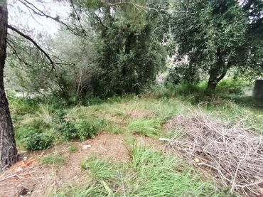 Wohnbaugrundstück zur Miete in Piera