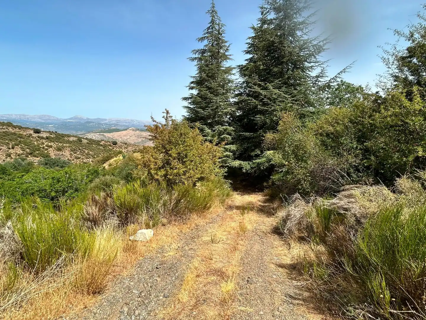 Terreno rústico en venta en Güéjar Sierra, imagen 17