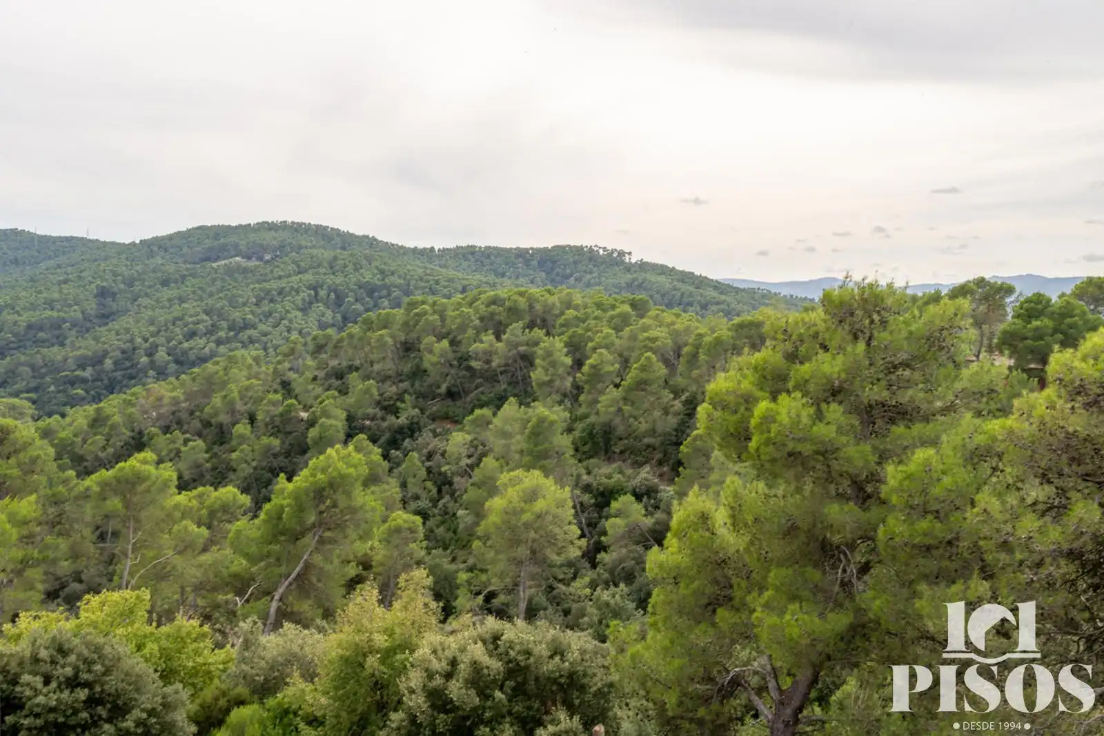 Flat for sale in La Floresta