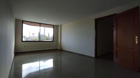 Foto 3 de Oficina de alquiler en Virgen de Regla, Los Remedios, Sevilla Capital