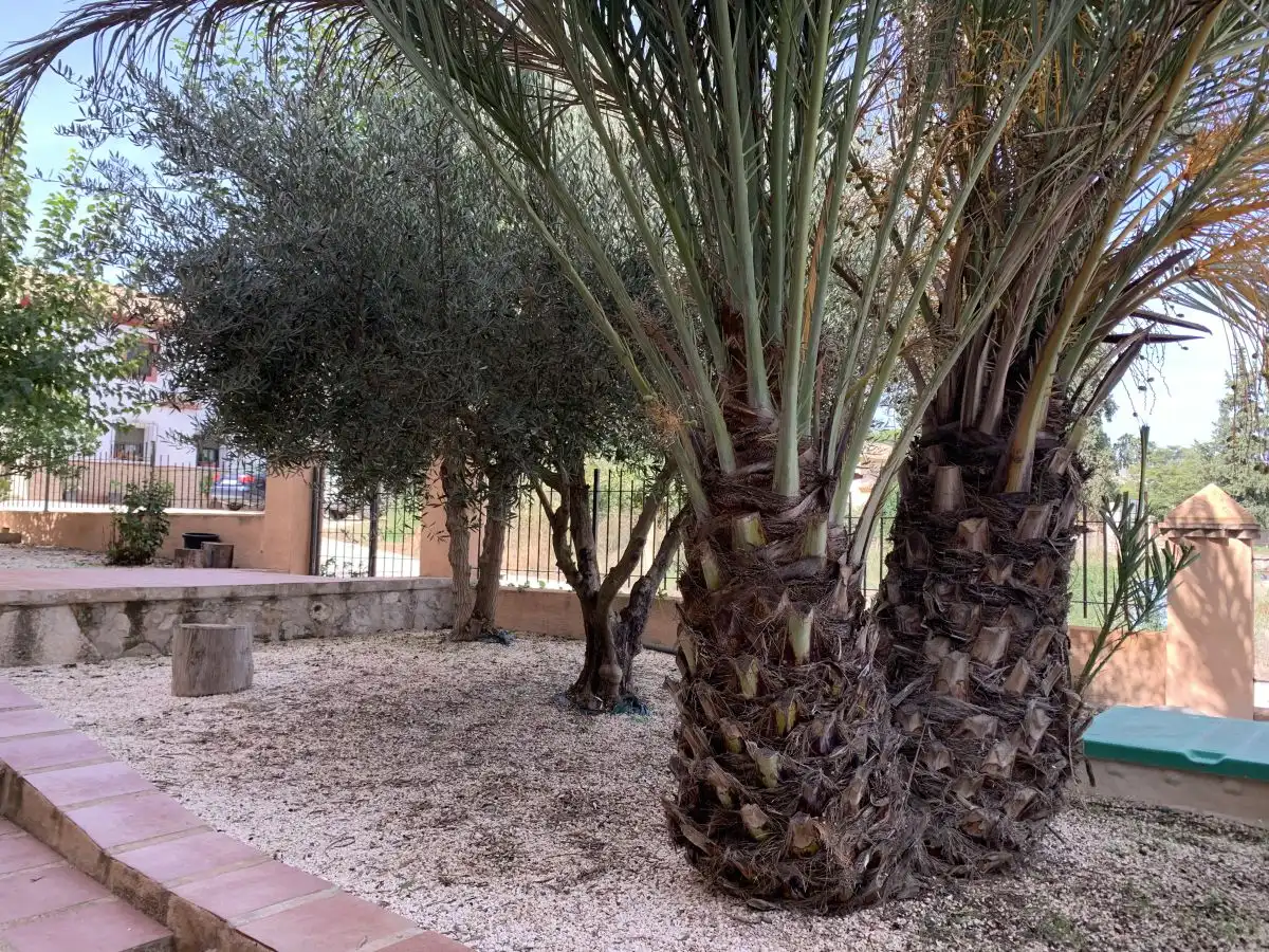 Casa en venda a Hellín, imagen 41