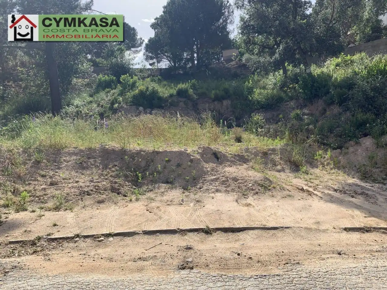 Terreno rustico in vendita a Montbarbat, imagen 6