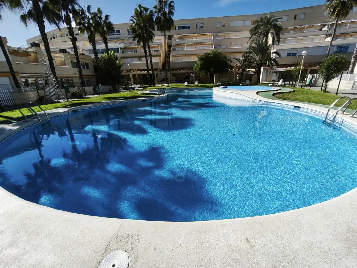 Swimming pool of Houses for sale in Alicante / Alacant  with Private garden, Terrace and Community pool