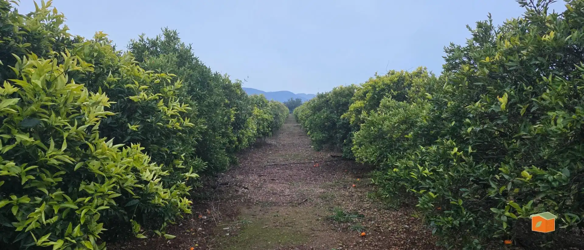Rural land for sale in Masdenverge
