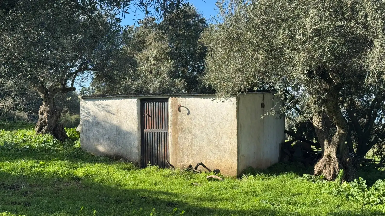 Terreni e lotti in vendita a Valencia de Alcántara, imagen 6