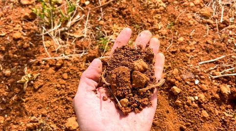 Foto 4 de Terreno en venta en N-340, 2, Torreblanca, Castellón