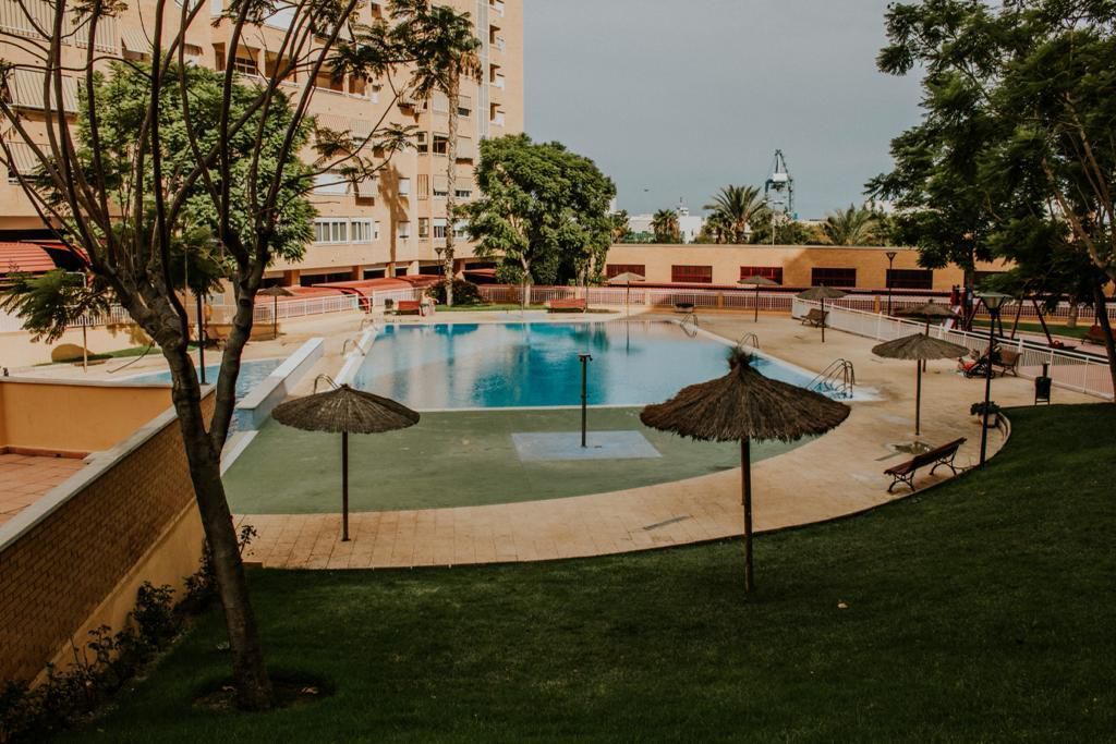 Swimming pool of Flat for rent in Alicante / Alacant  with Terrace, Balcony and Community pool