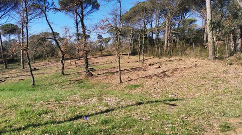 VENTA TERRENO URBANO EN SILS, ZONA URB. VALLCANERA, immagine 4