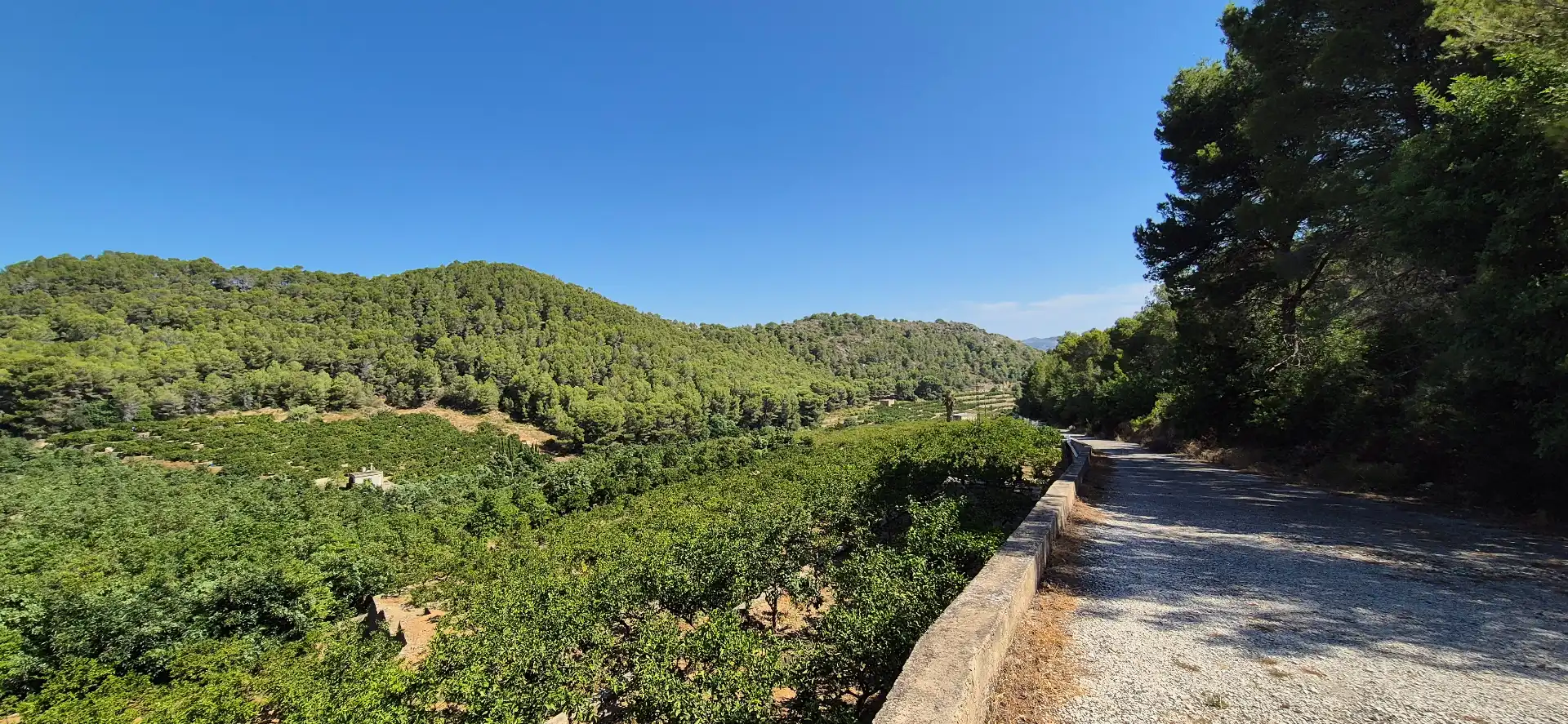 Vista exterior de Finca rústica en venta en Favara con Calefacción, Jardín privado y Terraza