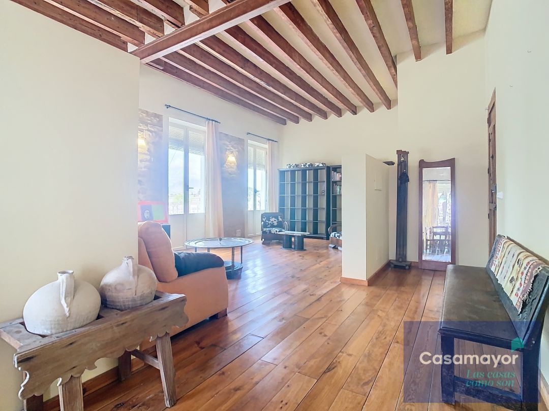 Sala d'estar de Loft de lloguer en Alicante / Alacant amb Aire condicionat, Calefacció i Forn