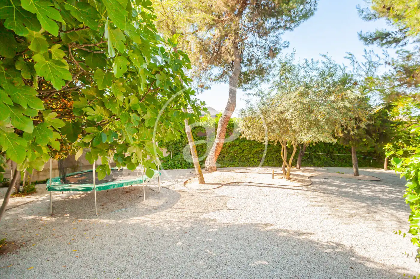 Jardín de Casa o chalet de alquiler en Madrid con Aire acondicionado, Calefacción y Jardín privado