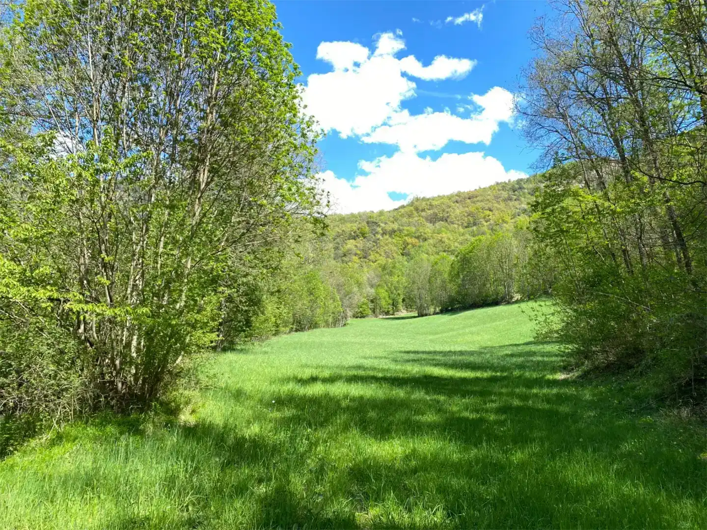 Terreno en venta en Tírvia