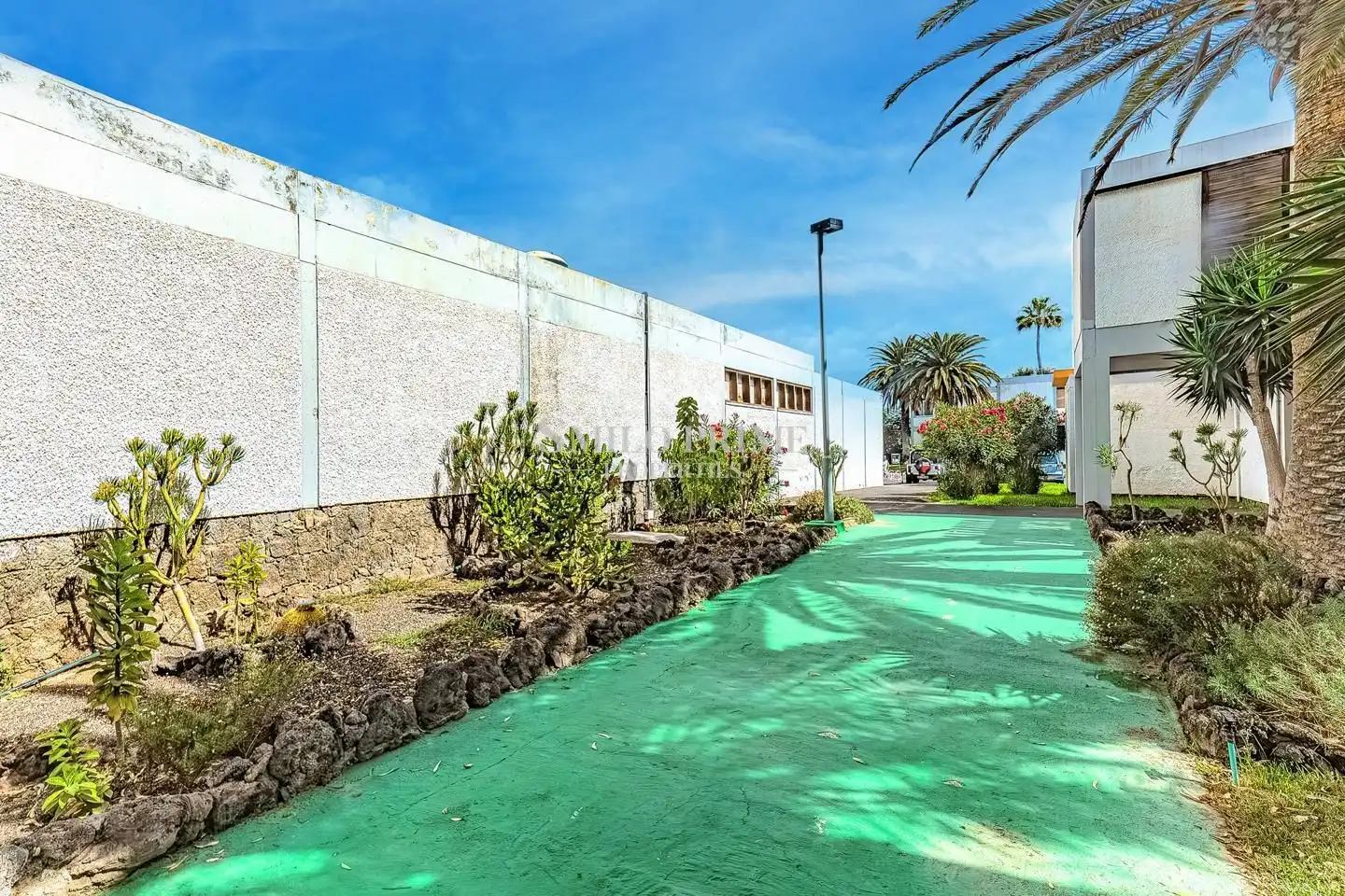Bajo con piscina en venta en Calle Hercules, imagen 14