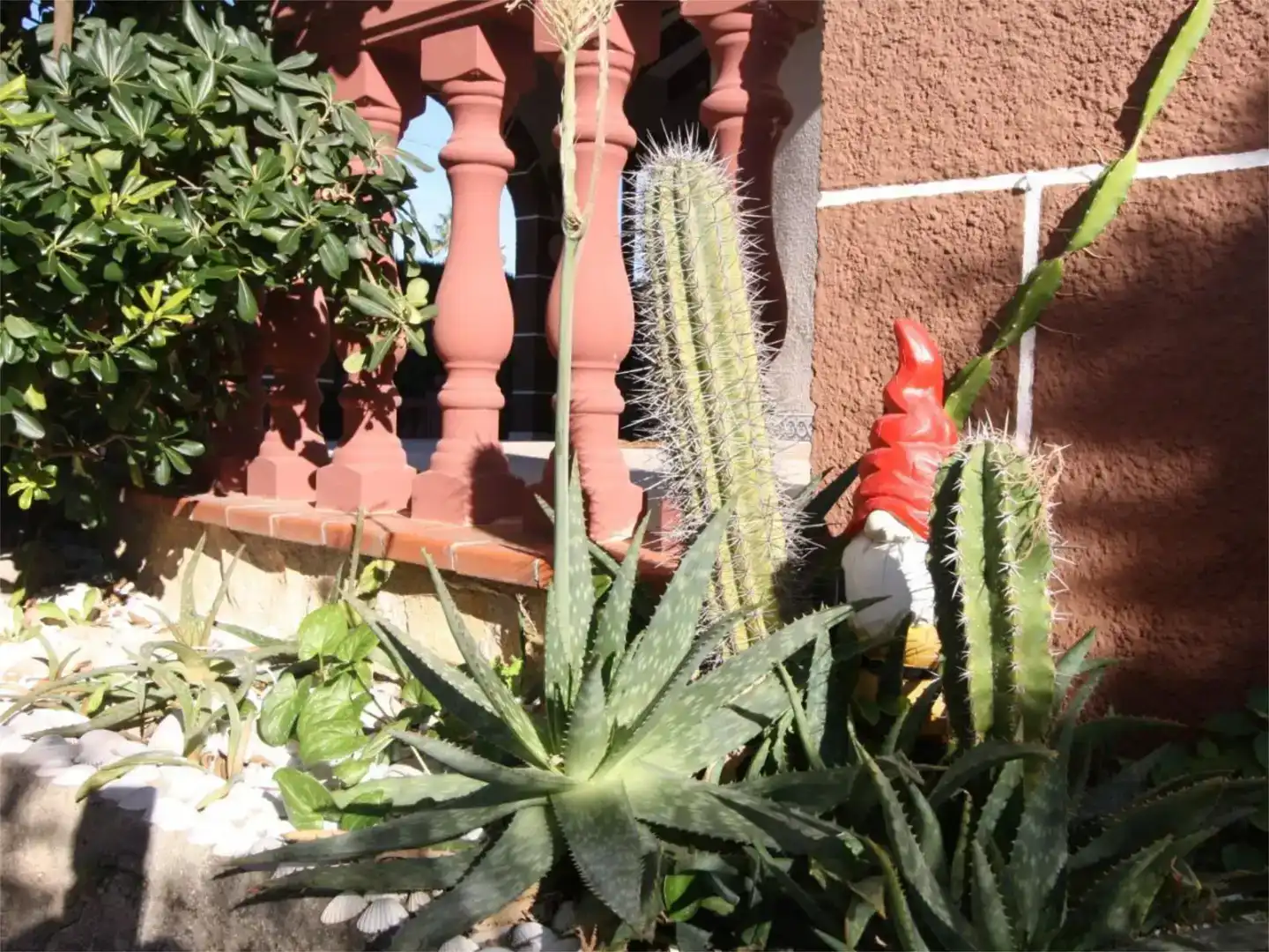 Terrassa de Casa o xalet en venda en Els Poblets amb Aire condicionat i Piscina