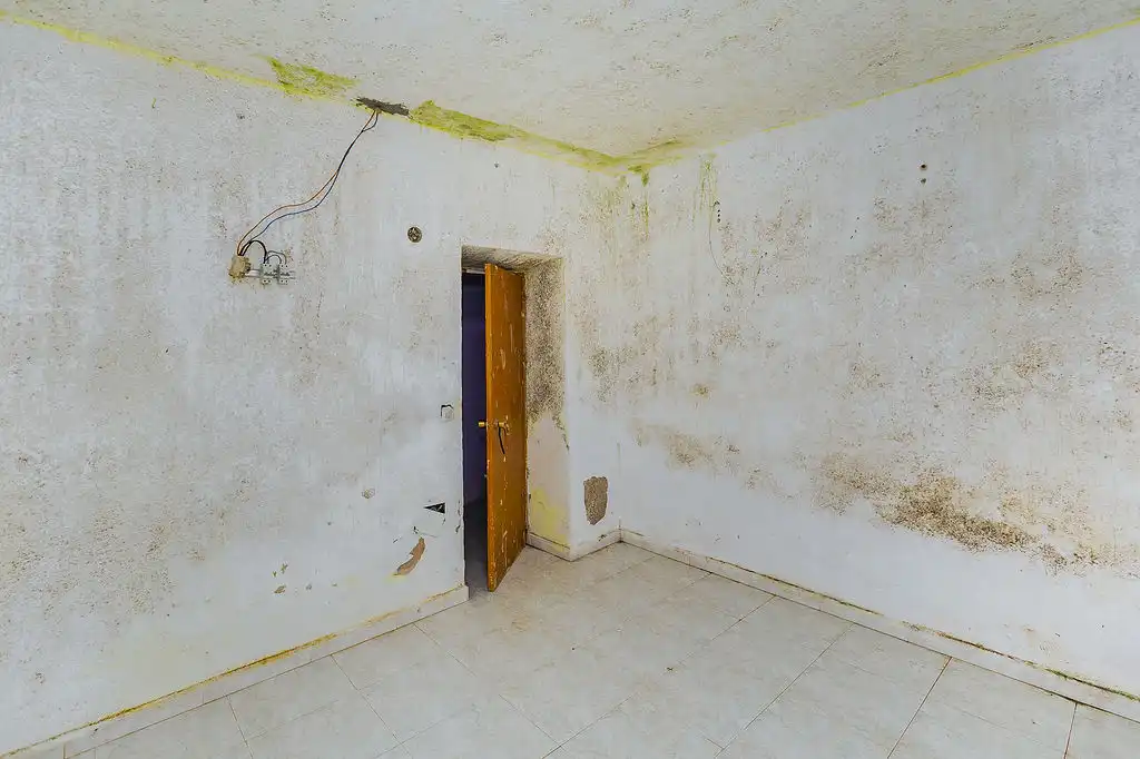 Casa bifamiliare in vendita a Pje La Molina, imagen 13