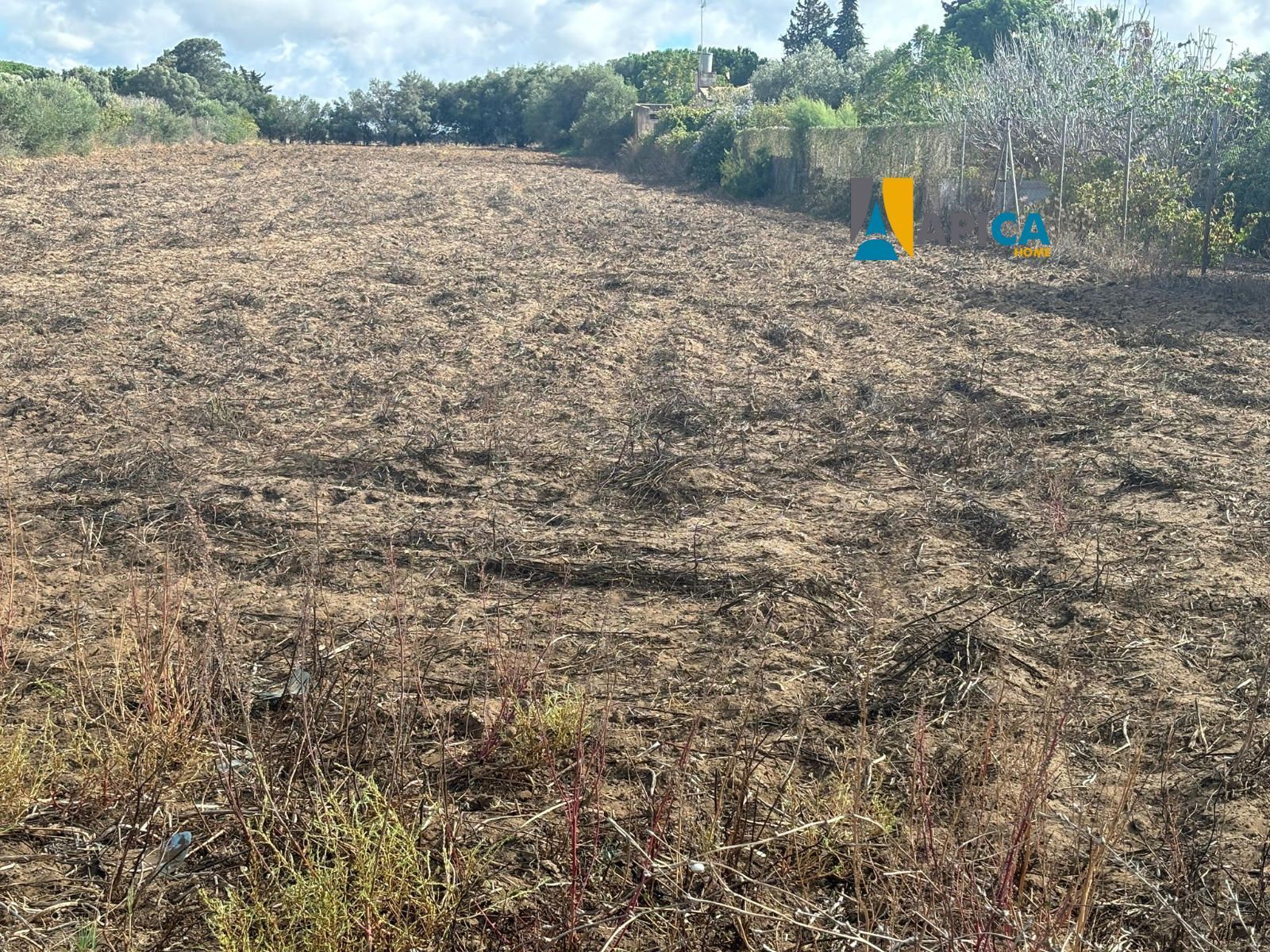 Land for sale in Chiclana de la Frontera