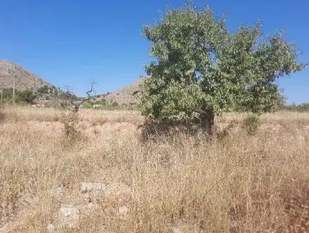 Wohnbaugrundstück zum Verkauf in Partida Ue, imagen 7