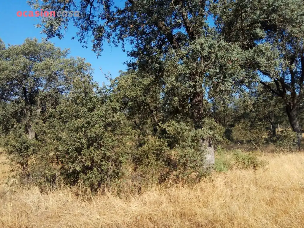 Country homes for sale in Torrecampo