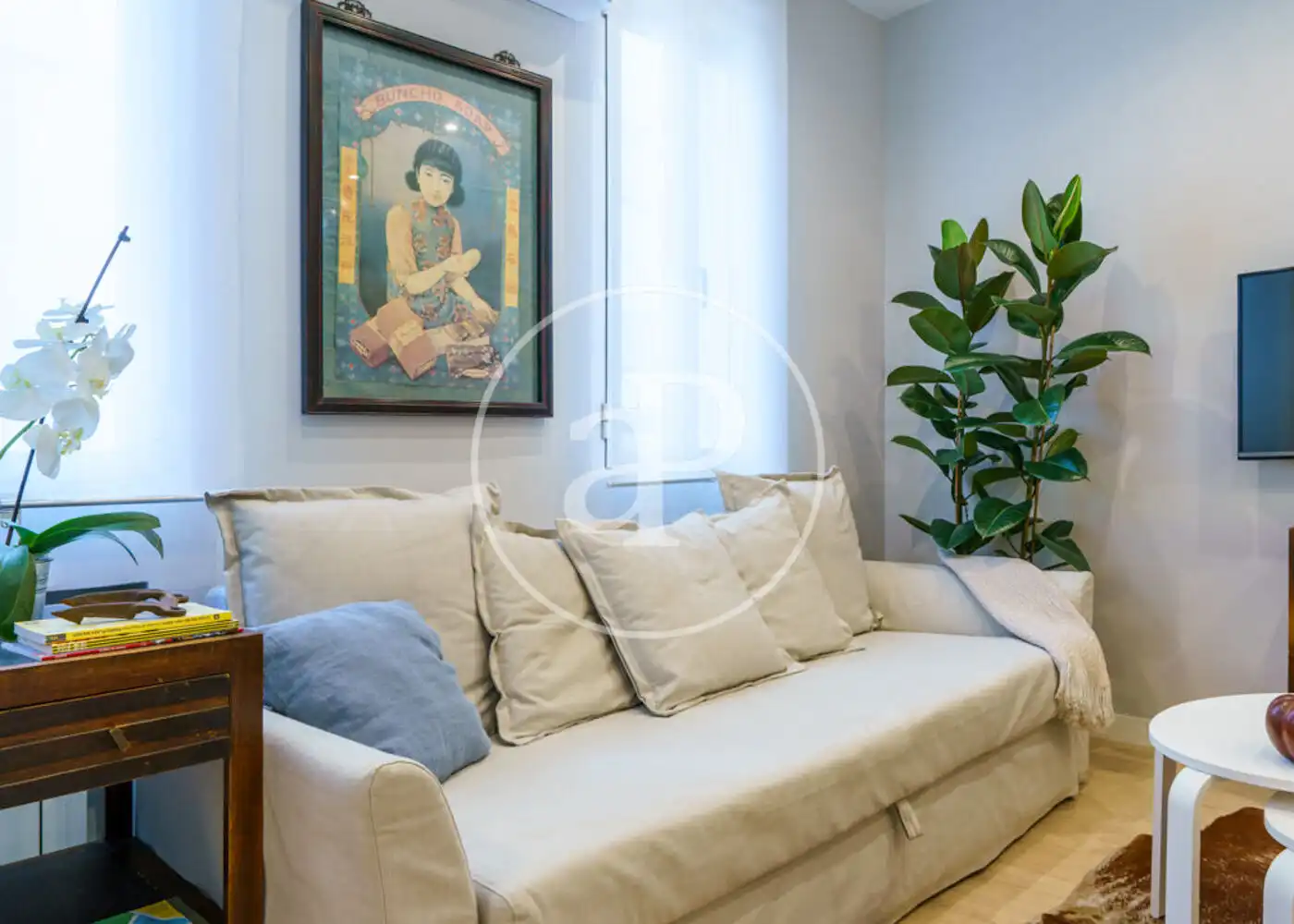 Sala d'estar de Pis de lloguer en Barrio de Salamanca