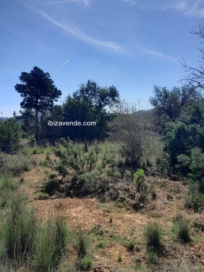 Terreno en venta en Es Canar, Sant Carles