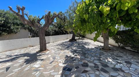 Foto 4 de Casa o xalet en venda a El Palmar - Los Molinos, Alicante