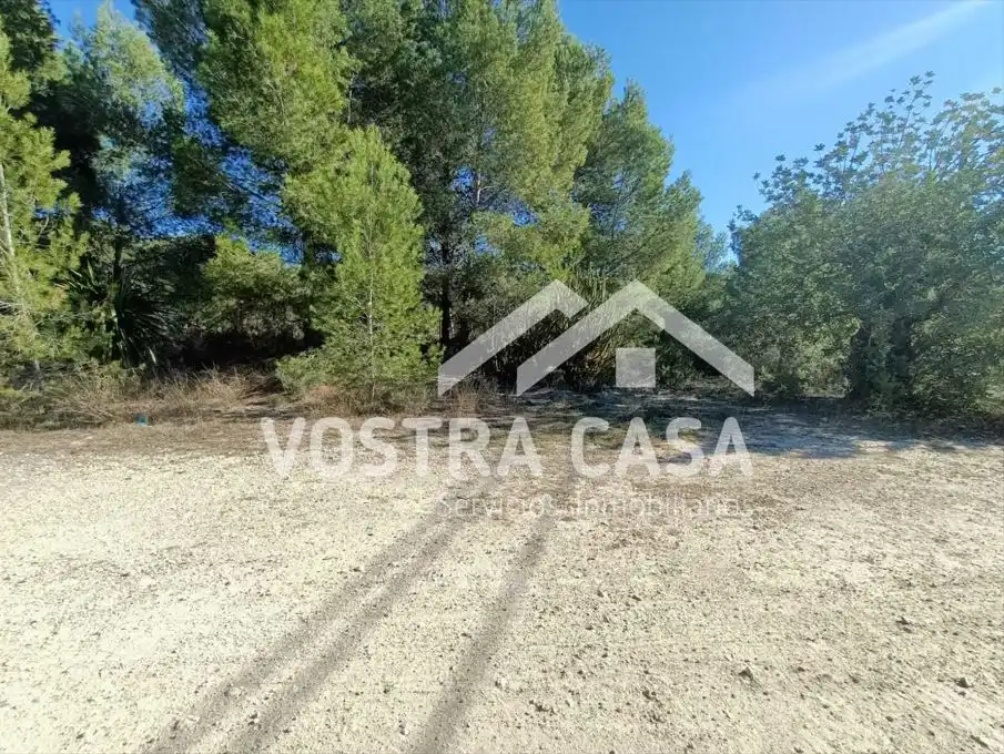 Terreno rustico in vendita a CAMINO DE LOS FELIPES, imagen 3