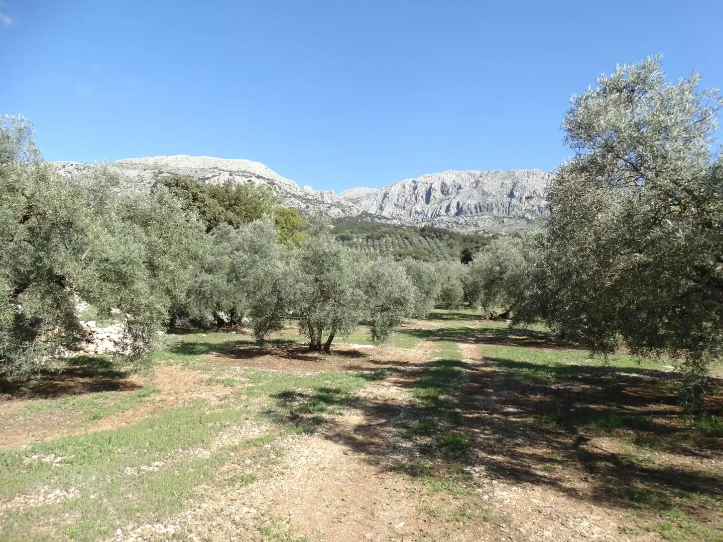 Rustikales Grundstück zum Verkauf in Villanueva del Rosario