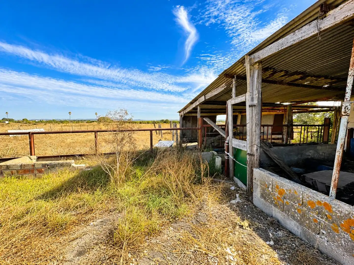 Vista exterior de Finca rústica en venta en Chiclana de la Frontera