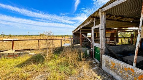 Foto 5 de Finca rústica en venda a La Barrosa, Chiclana de la Frontera