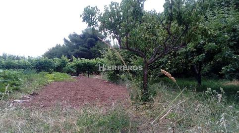 Foto 4 de Casa o xalet en venda a Medrano, La Rioja