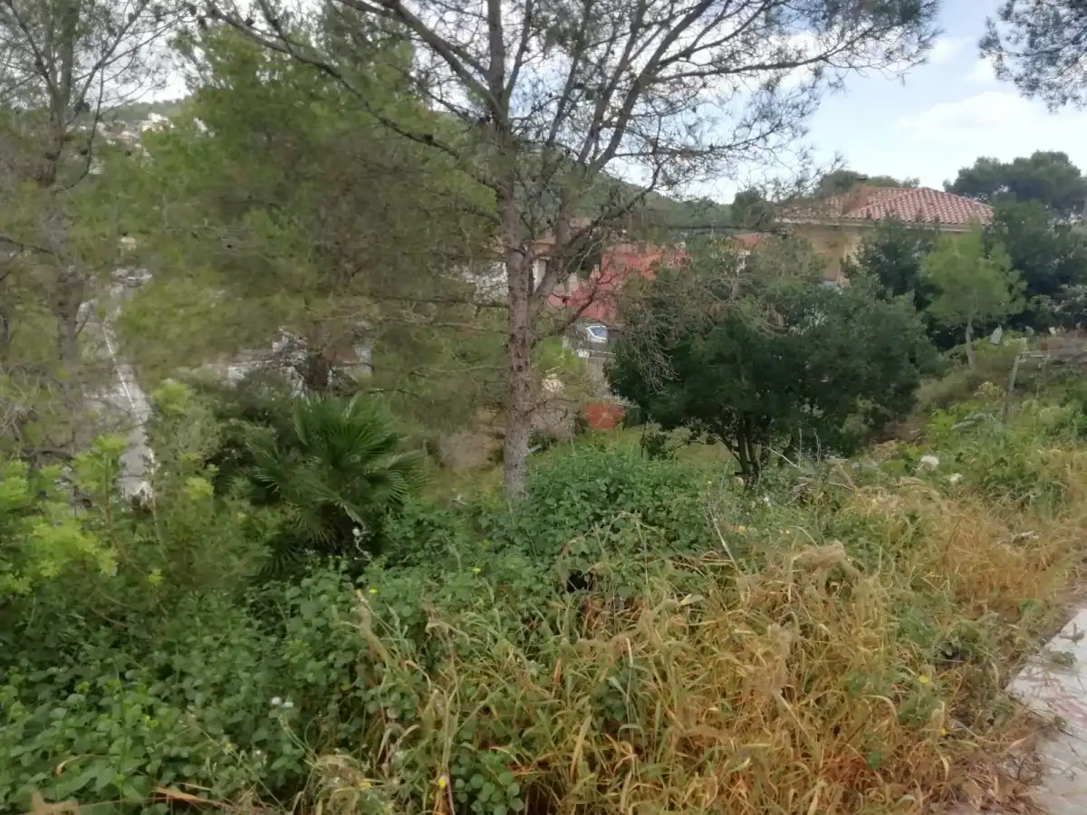 Terreny residencial en venda a Calle MOZART, imagen 2